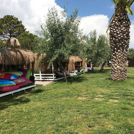 Palm Beach Otel Kucukkuyu Buitenkant foto